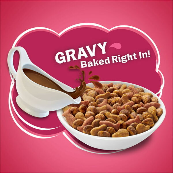 Friskies Gravy Swirlers Chicken & Salmon Dry Cat Food - Image 2