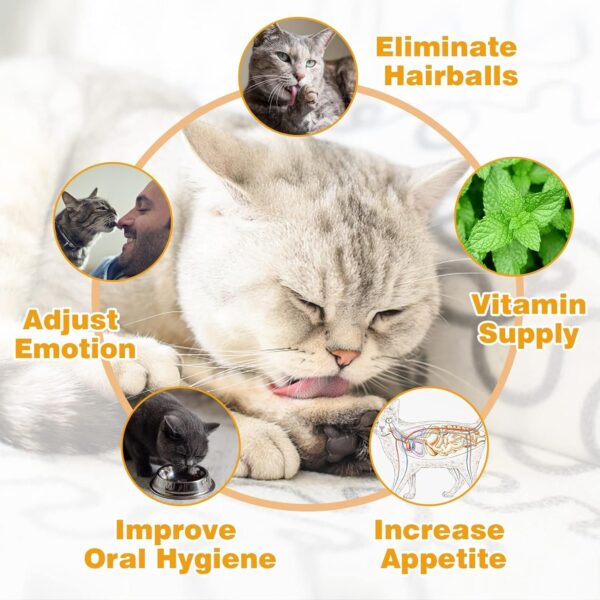 Catnip Ball for Cats Wall, 4 Pack, Silvervine Balls, Edible Toys, Lick Safe Healthy Kitten - Image 2