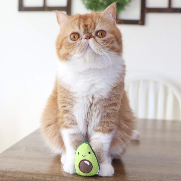 Catstages Lil’ Avocato Dental Health Catnip Cat Chew Toy For Pets - Image 2