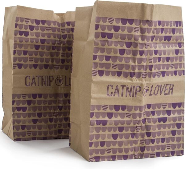 2 Count Catnip Caves Catnip Infused Bag Cat Toys – Brown, 2 Count
